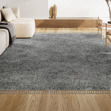 Mercer Shag Plush Tassel Area Rug